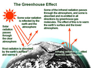 The Greenhouse Effect