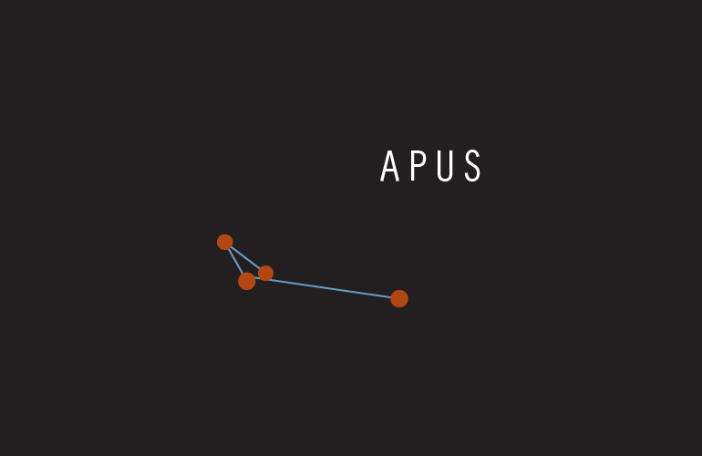 Apus