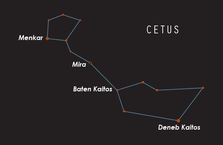 Cetus