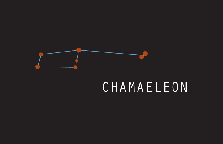 Chamaeleon