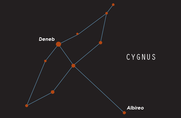 Cygnus