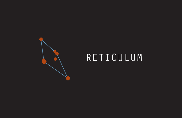 Reticulum